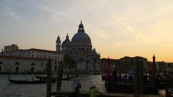 Santa Maria della Salute Basilika — Stockvideo