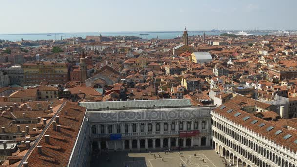 Piazza san marko in venedig — Stockvideo