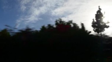 kavşak trafik Los Angeles