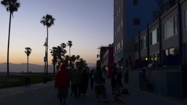 Gente despertando en Venice Beach — Vídeos de Stock