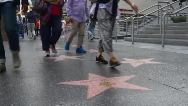 Bulwar Hollywood Walk of Fame — Wideo stockowe