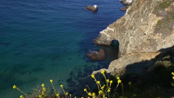 Costa de California a lo largo de Big Sur — Vídeo de stock