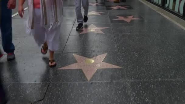 Hollywood Boulevard Walk of Fame — Stockvideo