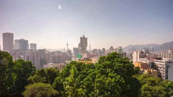 Macau taipa Adası cityscape panorama — Stok video