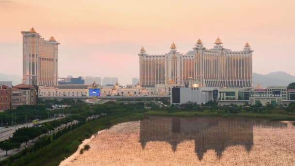 Macao taipa island cityscape panorama — Stok Video