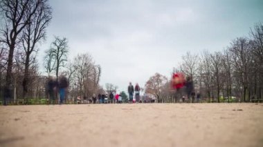 Paris Caddesi üzerinde şehir trafik