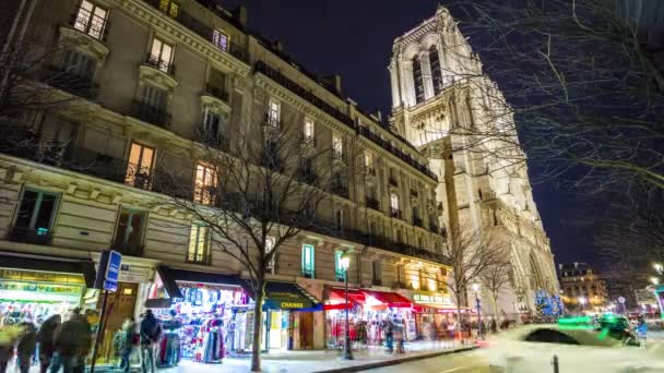 Catedral Notre Dame de Paris — Vídeo de Stock