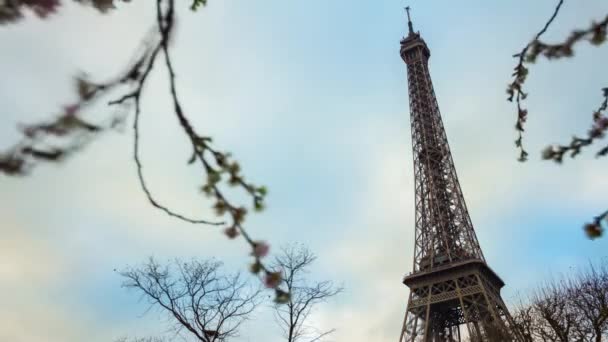 Turistas en la Torre Eiffel — Vídeos de Stock