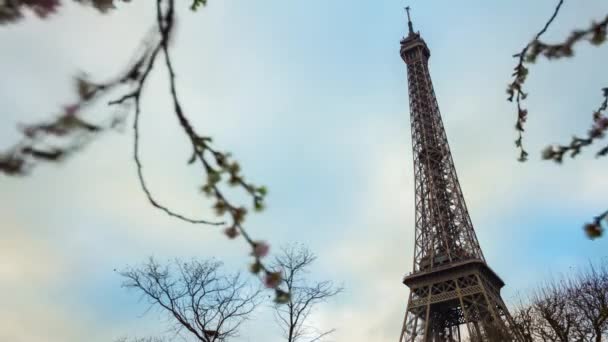 Turistas en la Torre Eiffel — Vídeo de stock