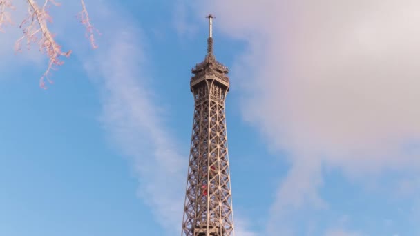 Touristen am Eiffelturm — Stockvideo