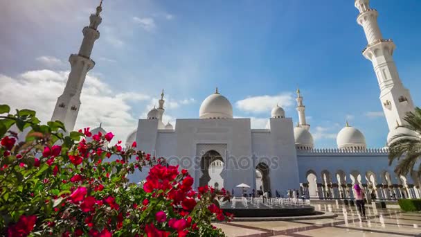 Sheikh Zayed Stora moskén — Stockvideo