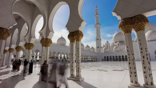 Velká mešita Sheikha Zayeda — Stock video