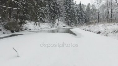 Güzel Kış Ormanı