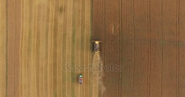 çalışma traktör binmek hattı