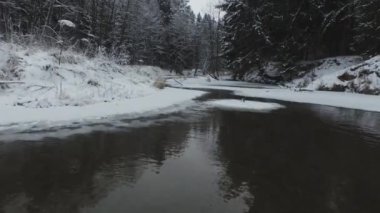 Güzel Kış Ormanı