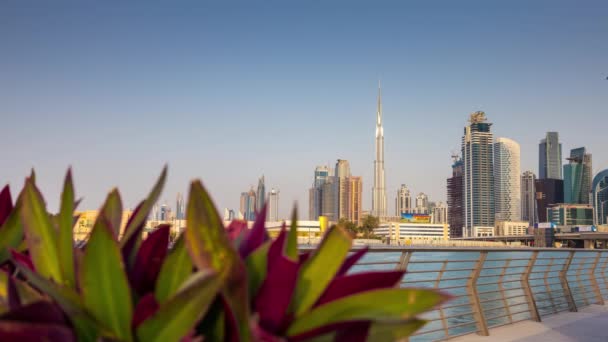 Dubai city vodní kanál panorama — Stock video