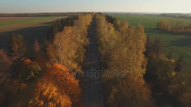 Panorama aérien routier de l'arrière-pays — Video