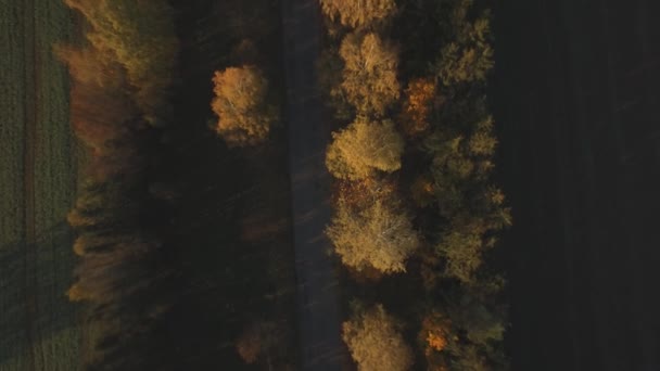 Backcountry weg luchtfoto panorama — Stockvideo