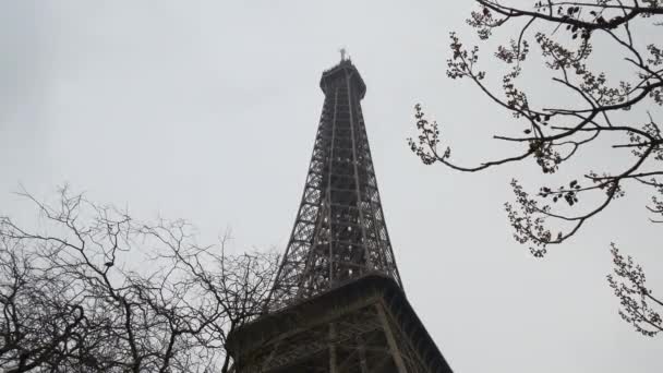 Beautiful Eiffel Tower — Stock Video