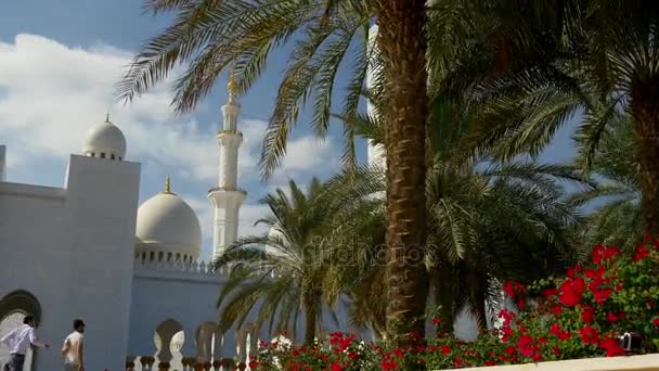 Mezquita Sheikh Zayed — Vídeos de Stock