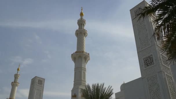 Şeyh Zayed Büyük Cami — Stok video