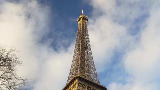 Toeristen in het eiffel tower — Stockvideo