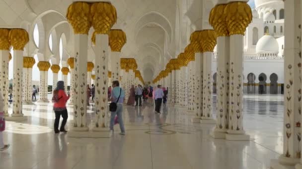 Sheikh Zayed Μεγάλο Τζαμί — Αρχείο Βίντεο