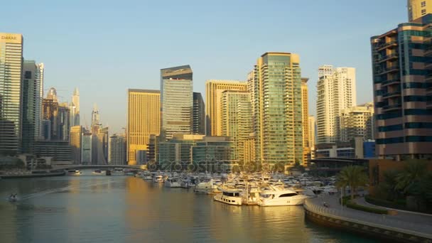 Dubai marina budov panorama — Stock video