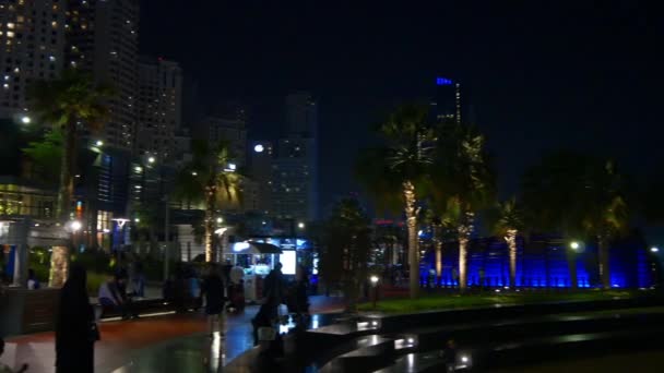 Vie nocturne à Dubaï — Video