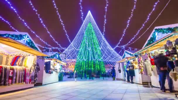 Vilnius illuminated in christmas decoration — Stock Video