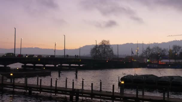 Zurich stadsbilden panorama — Stockvideo