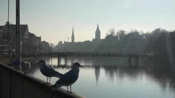 Zurich berömda bron — Stockvideo