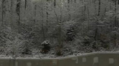  Zürih banliyösünde. İsviçre