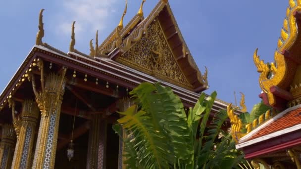 Gyönyörű templomok a Bangkok — Stock videók