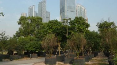  Hong Kong gökdelenler panorama