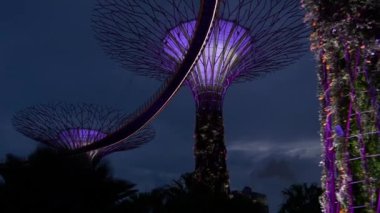 bay gece bahçelerle