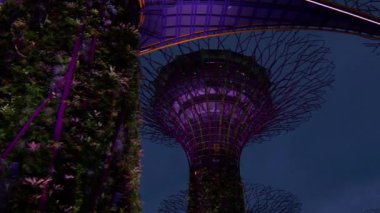 bay gece bahçelerle