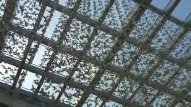 Dubai Alışveriş Merkezi salonu iç 