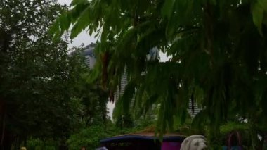 Singapur güzel park