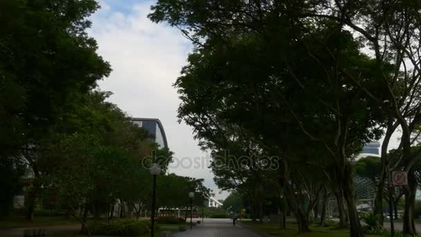 싱가포르에서 아름 다운 공원 — 비디오
