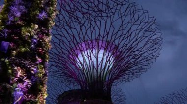 bay gece bahçelerle