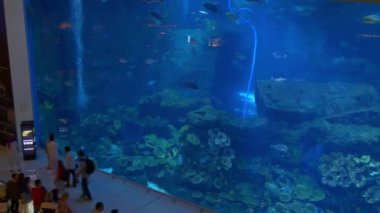 Dubal alışveriş merkezi 