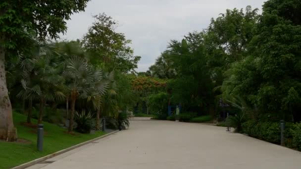 Taman indah di Singapura — Stok Video