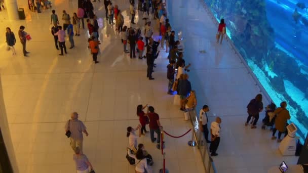 迪拜购物中心 — 图库视频影像