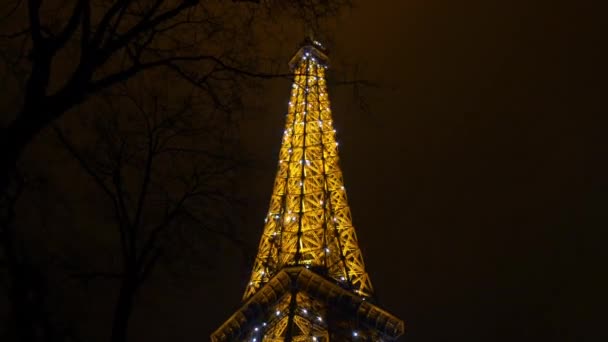 Torre Eiffel a Parigi — Video Stock