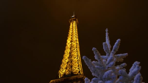 Torre Eiffel a Parigi — Video Stock