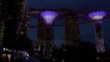 bay gece bahçelerle