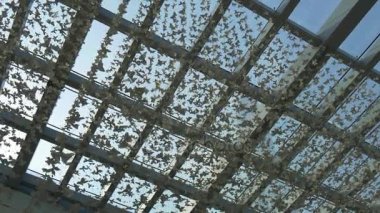 Dubai Alışveriş Merkezi salonu iç