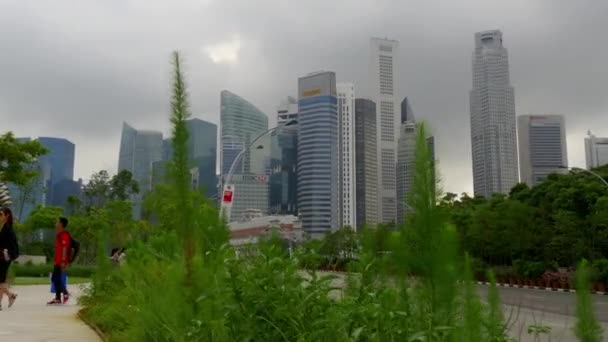 Красивый парк в Сингапуре — стоковое видео