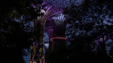 bay gece bahçelerle